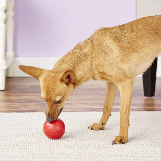 KONG Ball Dog Toy 6 KONG Ball Dog Toy - Image 4