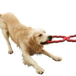 KONG Tug Dog Toy 11 KONG Tug Dog Toy -KONG Toys Shop 59156 PT3. SY630 V1603163197