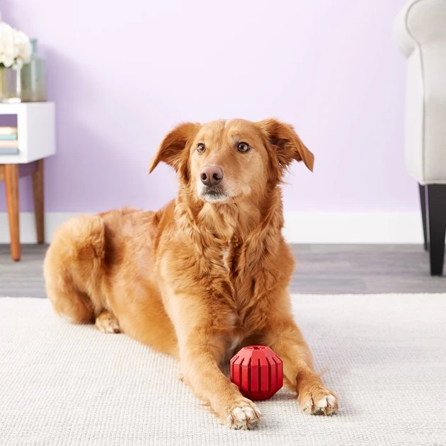 KONG Stuff a Ball Dog Toy 7 KONG Stuff a Ball Dog Toy - Image 5