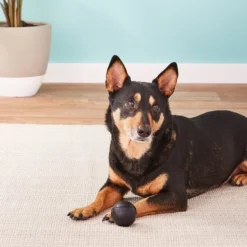 KONG Extreme Ball Dog Toy -KONG Toys Shop 59189 PT4. SY630 V1531423940