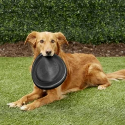 KONG Extreme Flyer Dog Toy -KONG Toys Shop 59199 PT2. SY630 V1605334012