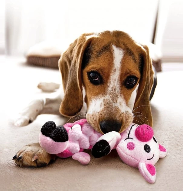 KONG Pudge Braidz Pig 6 KONG Pudge Braidz Pig - Image 4