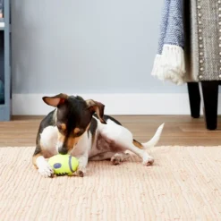 KONG AirDog Football Dog Toy -KONG Toys Shop 59282 PT3. SY630 V1603162884