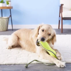 KONG AirDog Fetch Stick with Rope Dog Toy -KONG Toys Shop 59293 PT3. SY630 V1603161696