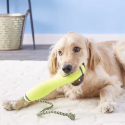 KONG AirDog Fetch Stick with Rope Dog Toy -KONG Toys Shop 59293 PT4. SY630 V1603167386