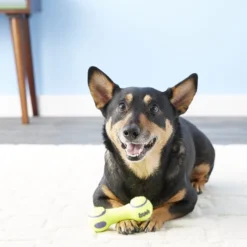 KONG AirDog Dumbbell Dog Toy -KONG Toys Shop 59299 PT3. SY630 V1603147891