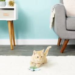 KONG Refillable Turtle Catnip Cat Toy 13 KONG Refillable Turtle Catnip Cat Toy -KONG Toys Shop 59302 PT5. SY630 V1603162890