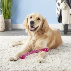 KONG Safestix Dog Toy, Color Varies -KONG Toys Shop 59303 PT4. SY630 V1603153885