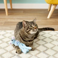 KONG Wubba Cat Friends Mouse Cat Toy, Color Varies -KONG Toys Shop 59315 PT5. SY630 V1528231520