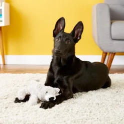 KONG Cozie Buster the Koala Dog Toy -KONG Toys Shop 62765 PT2. SY630 V1531425187