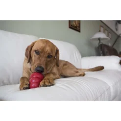 KONG Stuff'N Bacon & Cheese Snacks Dog Small Treats, 7-oz bag -KONG Toys Shop 62781 PT3. SY630 V1605340911