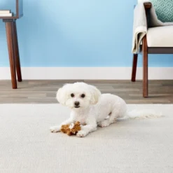 KONG Plush Teddy Bear Dog Toy -KONG Toys Shop 62860 PT1. SY630 V1542749248