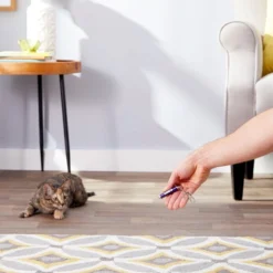 KONG Laser Cat Toy -KONG Toys Shop 62876 PT4. SY630 V1603158984