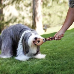 KONG Wubba Floppy Ears Dog Toy -KONG Toys Shop 62913 PT5. SY630 V1476296289