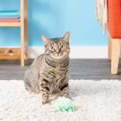 KONG Moppy Ball Cat Toy, Color Varies 13 KONG Moppy Ball Cat Toy, Color Varies -KONG Toys Shop 66570 PT6. SY630 V1603164687