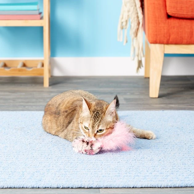 KONG Refillable Field Mouse Catnip Cat Toy 7 KONG Refillable Field Mouse Catnip Cat Toy - Image 5