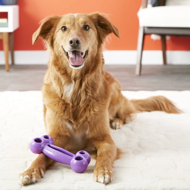 KONG Quest Bone Dog Toy, Color Varies 4 KONG Quest Bone Dog Toy, Color Varies - Image 2