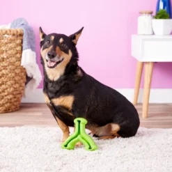 KONG Toys Shop -KONG Toys Shop 66617 PT1. SY630 V1559593025