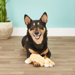 KONG Scrunch Knots Fox Dog Toy -KONG Toys Shop 71939 PT3. SY630 V1603150883