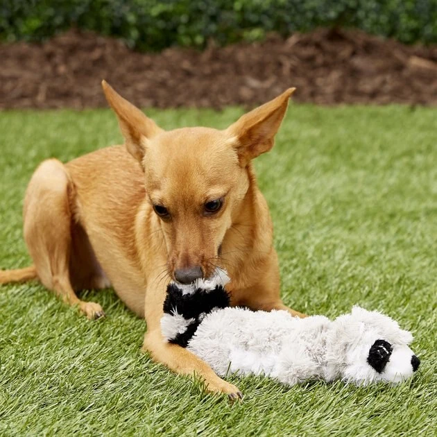 KONG Scrunch Knots Raccoon Dog Toy 7 KONG Scrunch Knots Raccoon Dog Toy - Image 5