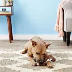 KONG Scrunch Knots Squirrel Dog Toy -KONG Toys Shop 71945 PT4. SY630 V1603165903