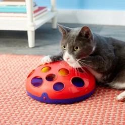 KONG Glide 'N Seek Cat Toy -KONG Toys Shop 73761 PT8. SY630 V1502828796