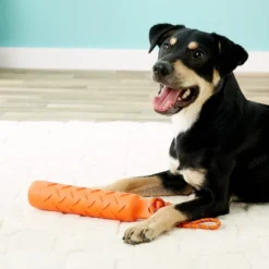 KONG Training Dummy for Dogs -KONG Toys Shop 77679 PT8. SY630 V1507035640