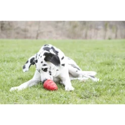 KONG Stuff'N Sweet Potato Spread Dog Treat -KONG Toys Shop 77693 PT3. SY630 V1605321410