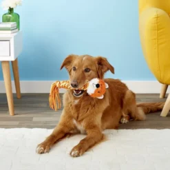 KONG Winder Dog Toy -KONG Toys Shop 81984 PT2. SY630 V1605345710