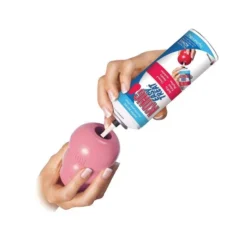 KONG Puppy Dog Toy -KONG Toys Shop 83329 PT3. SY630 V1603160494