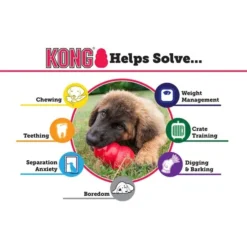 KONG Puppy Dog Toy -KONG Toys Shop 83329 PT4. SY630 V1603149987