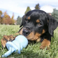 KONG Puppy Binkie -KONG Toys Shop 83336 PT3. SY630 V1603166487