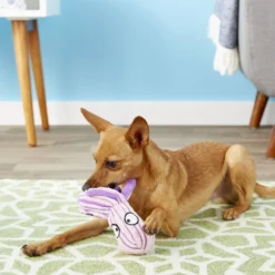 KONG CuteSeas Octopus Dog Toy -KONG Toys Shop 83358 PT2. SY630 V1545176043