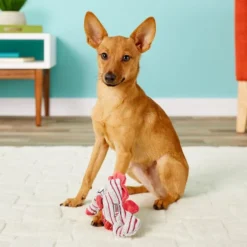 KONG CuteSeas Seahorse Dog Toy -KONG Toys Shop 83363 PT2. SY630 V1531429937