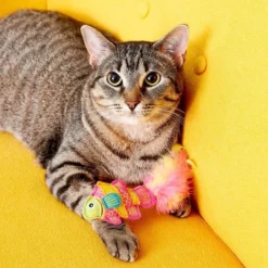 KONG Tropics Fish Catnip Toy, Pink -KONG Toys Shop 84477 PT6. SY630 V1603167729