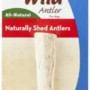 KONG Wild Whole Elk Antler Dog Chew 2 KONG Wild Whole Elk Antler Dog Chew -KONG Toys Shop 88731 MAIN. SY630 V1551371520
