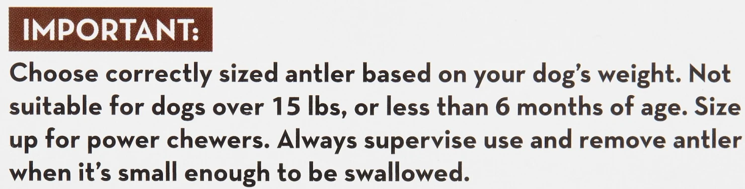 KONG Wild Whole Elk Antler Dog Chew 8 KONG Wild Whole Elk Antler Dog Chew - Image 6