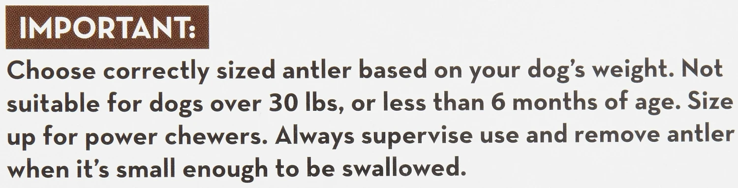KONG Wild Whole Elk Antler Dog Chew 8 KONG Wild Whole Elk Antler Dog Chew - Image 6
