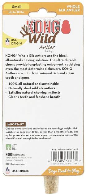 KONG Wild Whole Elk Antler Dog Chew 9 KONG Wild Whole Elk Antler Dog Chew - Image 7