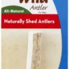 KONG Wild Split Elk Antler Dog Chew -KONG Toys Shop 88744 MAIN. SY630 V1551371580