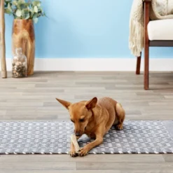 KONG Wild Split Elk Antler Dog Chew -KONG Toys Shop 88744 PT4. SY630 V1551371540