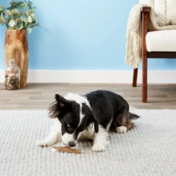 KONG Wild Split Elk Antler Dog Chew -KONG Toys Shop 88745 PT4. SY630 V1551371634