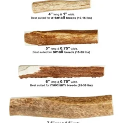 KONG Wild Split Elk Antler Dog Chew -KONG Toys Shop 88745 PT6. SY630 V1551371642