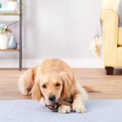 KONG Wild Split Elk Antler Dog Chew -KONG Toys Shop 88746 PT4. SY630 V1551371654