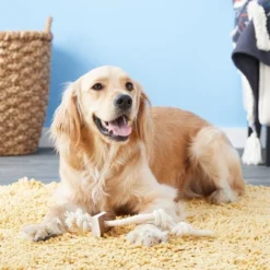 KONG Wild Elk Antler Dog Toy -KONG Toys Shop 88751 PT4. SY630 V1605347222