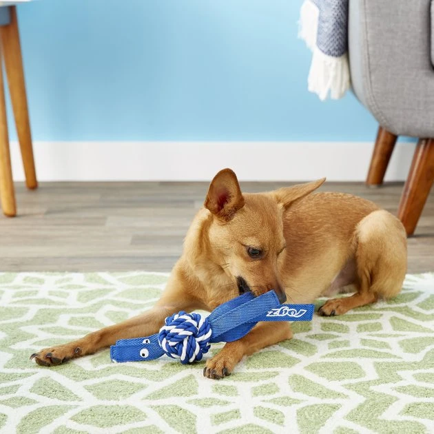 ROGZ by KONG Cowboyz Knot Dog Toy, Color Varies 5 ROGZ by KONG Cowboyz Knot Dog Toy, Color Varies - Image 3