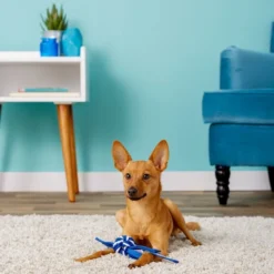 ROGZ by KONG Cowboyz Knot Dog Toy, Color Varies 9 ROGZ by KONG Cowboyz Knot Dog Toy, Color Varies -KONG Toys Shop 89026 PT3. SY630 V1531523533