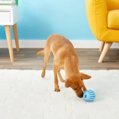 KONG Puppy Activity Ball Dog Toy, Color Varies -KONG Toys Shop 91191 PT6. SY630 V1603153584