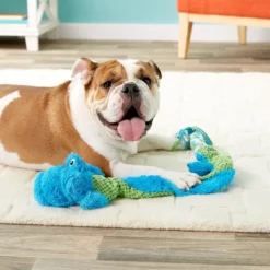 KONG Winders Tails Dog Toy, Color Varies -KONG Toys Shop 91302 PT2. SY630 V1605308809